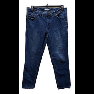 Ann Taylor Loft Womens Modern Fit Jeans Size 10 Blue Denim